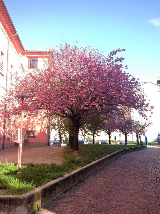 Casa Agnese Bed & Breakfast Alba  Bagian luar foto