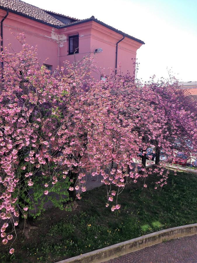 Casa Agnese Bed & Breakfast Alba  Bagian luar foto