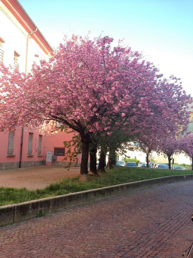 Casa Agnese Bed & Breakfast Alba  Bagian luar foto