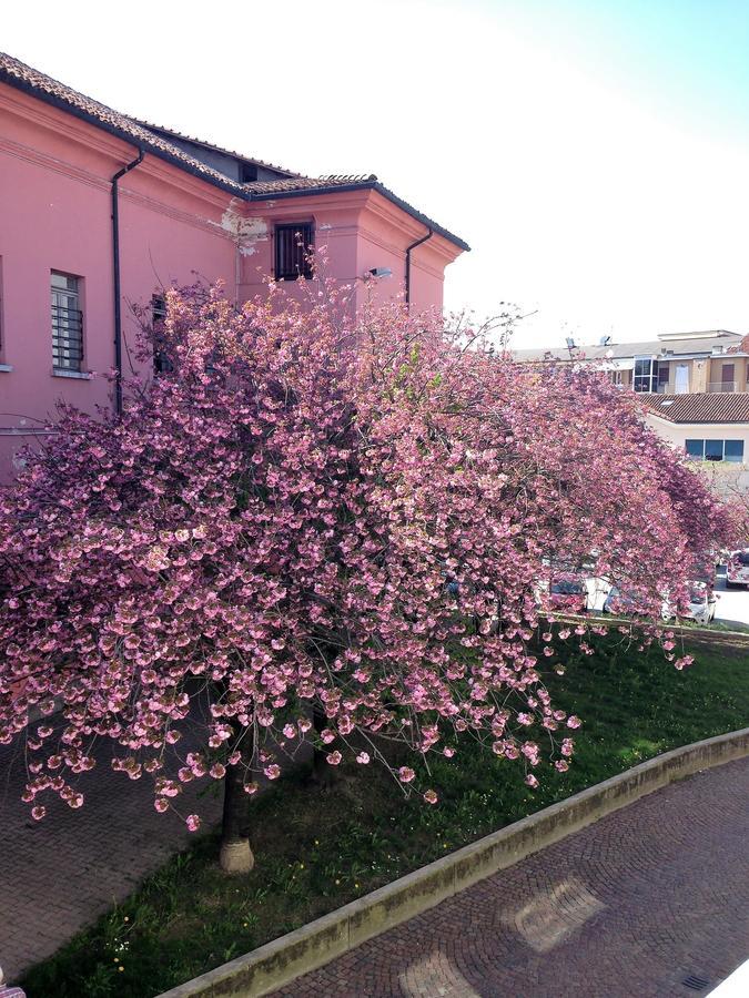 Casa Agnese Bed & Breakfast Alba  Bagian luar foto